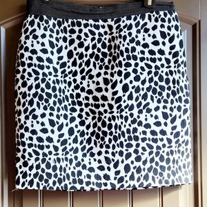 Ann Taylor Skirt (Lined)